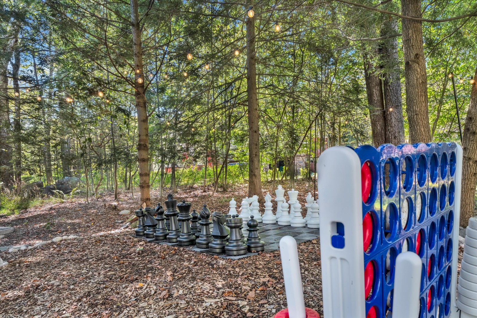 Play a friendly match on the life-sized outdoor chessboard surrounded by peaceful forest trees