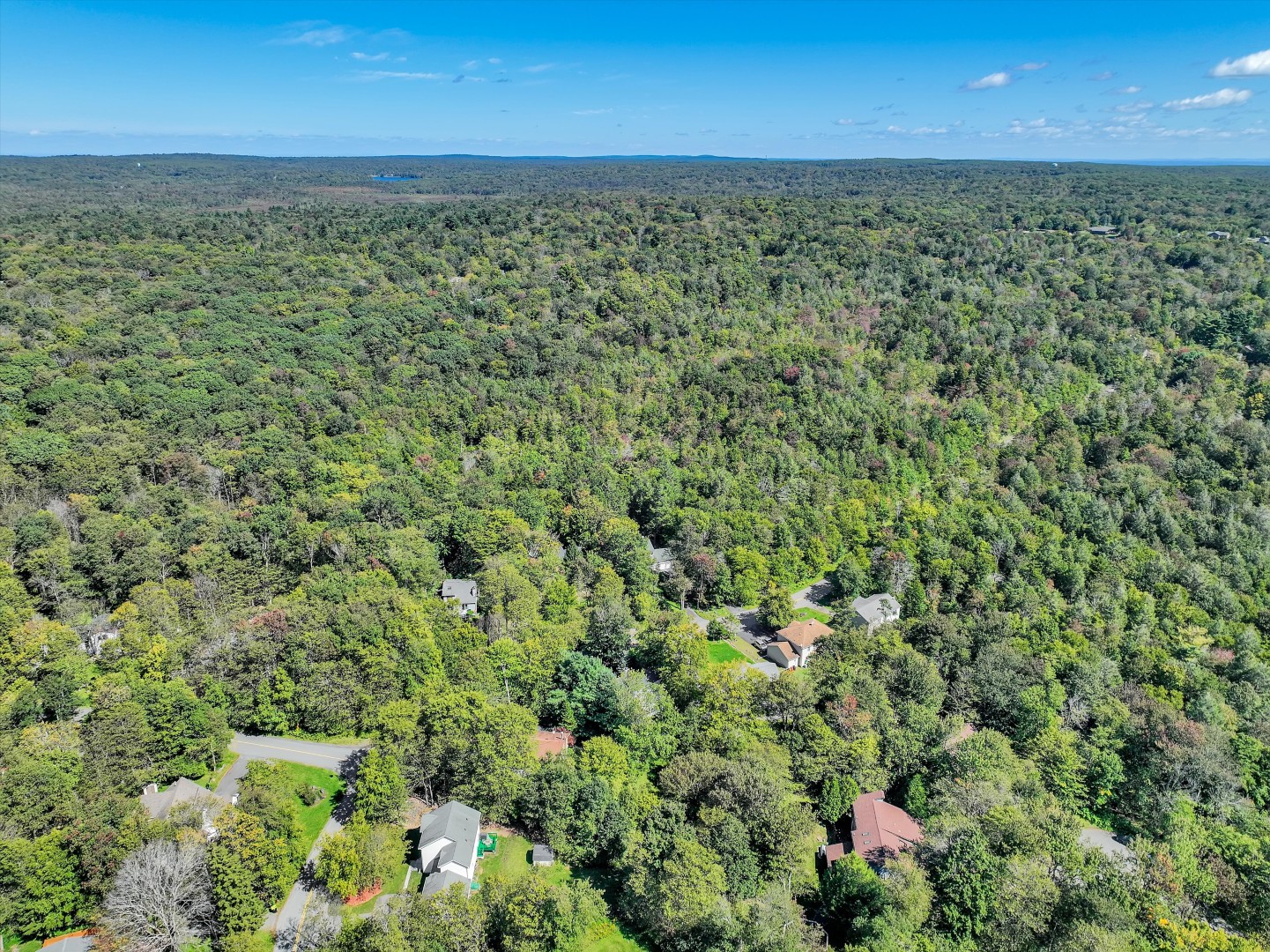 Lush woodland surroundings offer a quiet, secluded escape just minutes from top area attractions.